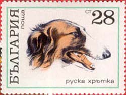 Русская борзая в миниатюре - марки